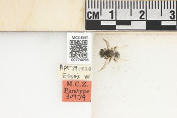 Media type: image;   Entomology 774096 Aspect: Labels